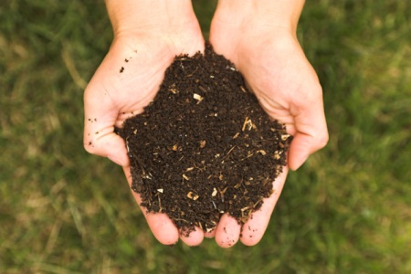 finished compost - thanks to Wikipedia